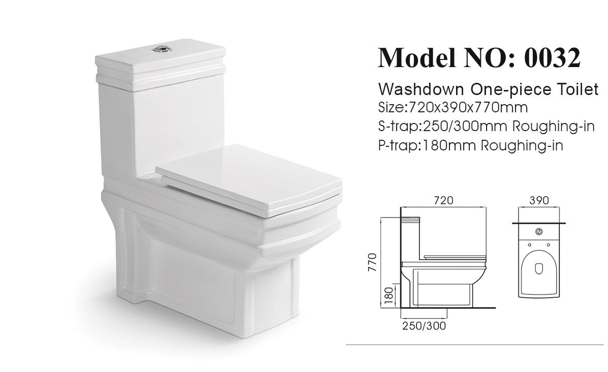 0032 One Piece Toilet (2)