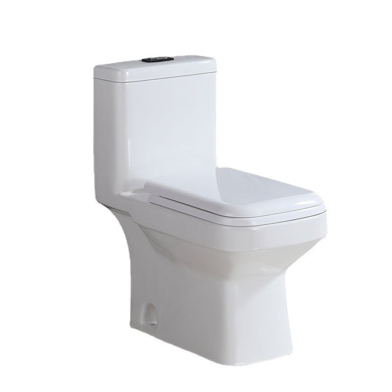 6130 One Piece Toilet (1)