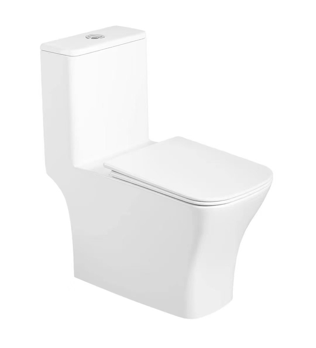 8506 One Piece Toilet (1)