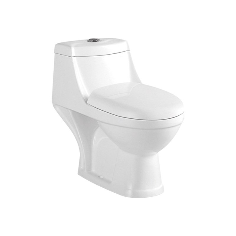 9008 One Piece Toilet (1)