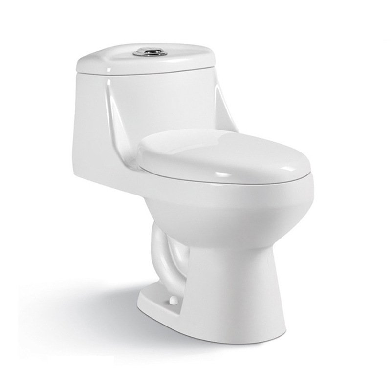 9012 One Piece Toilet (1)