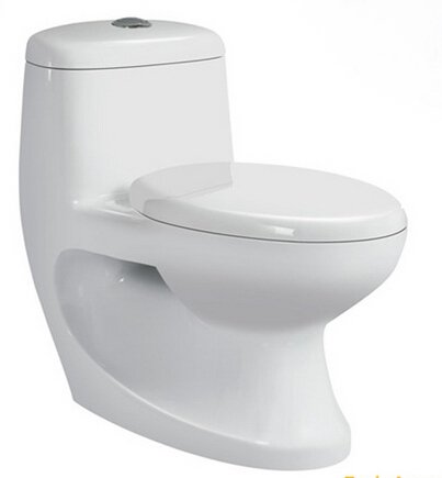 9014 One Piece Toilet (1)