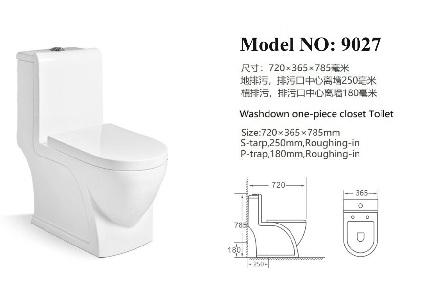 9027 One Piece Toilet (5)