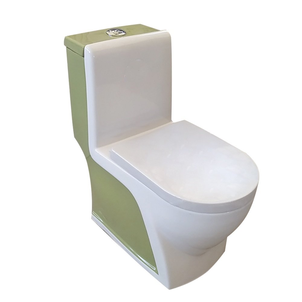 9027g One Piece Toilet (1)