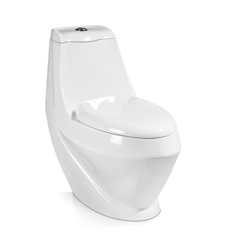 9038 One Piece Toilet (1)