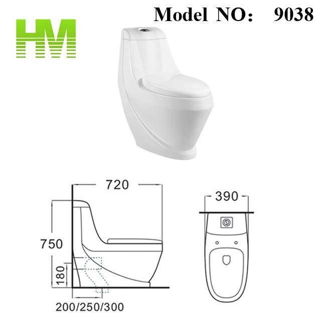 9038 One Piece Toilet (5)
