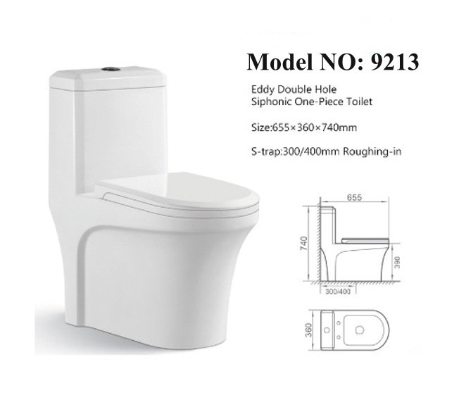 9213 One Piece Toilet (7)