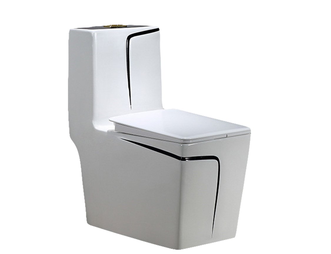 9221 Black One Piece Toilet (1)
