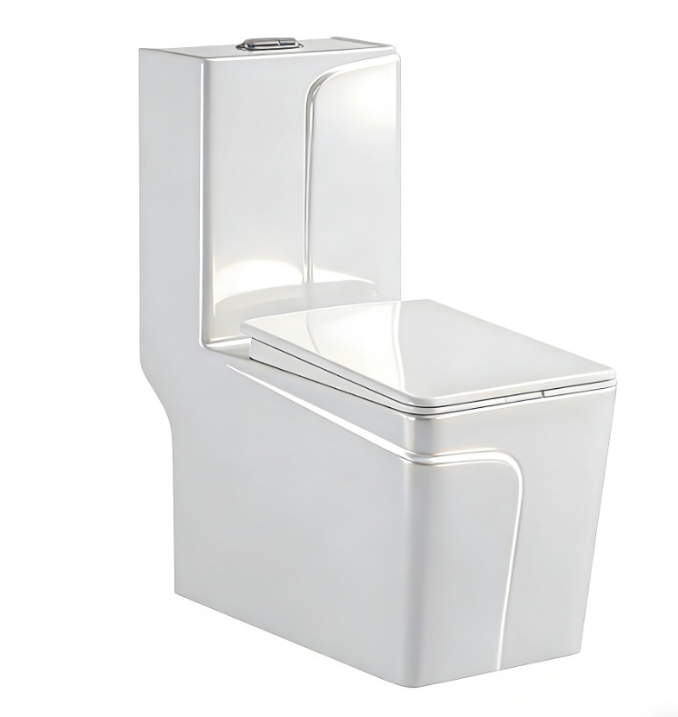 9221 One Piece Toilet (1)