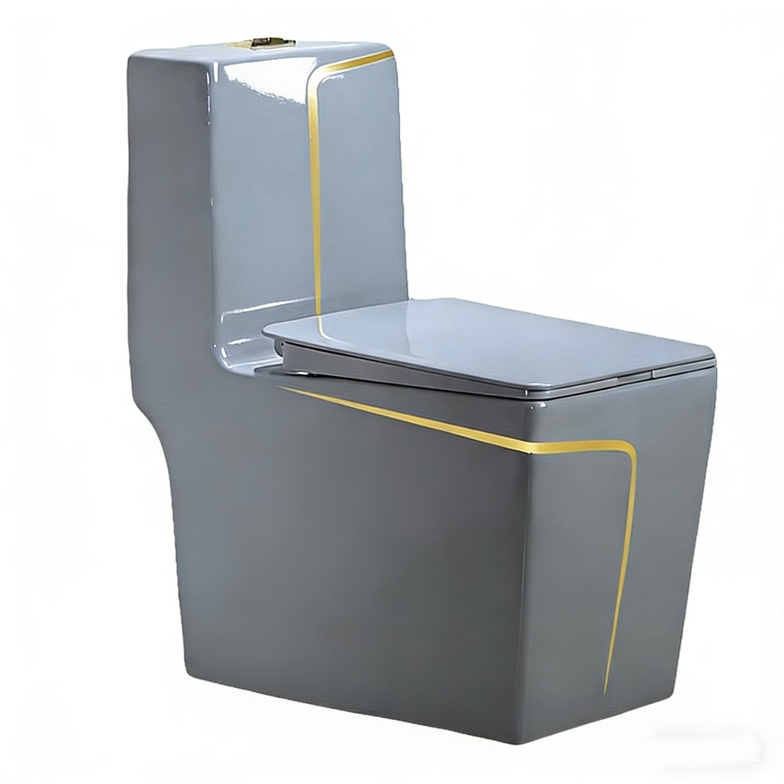 9221 Grey One Piece Toilet (1)
