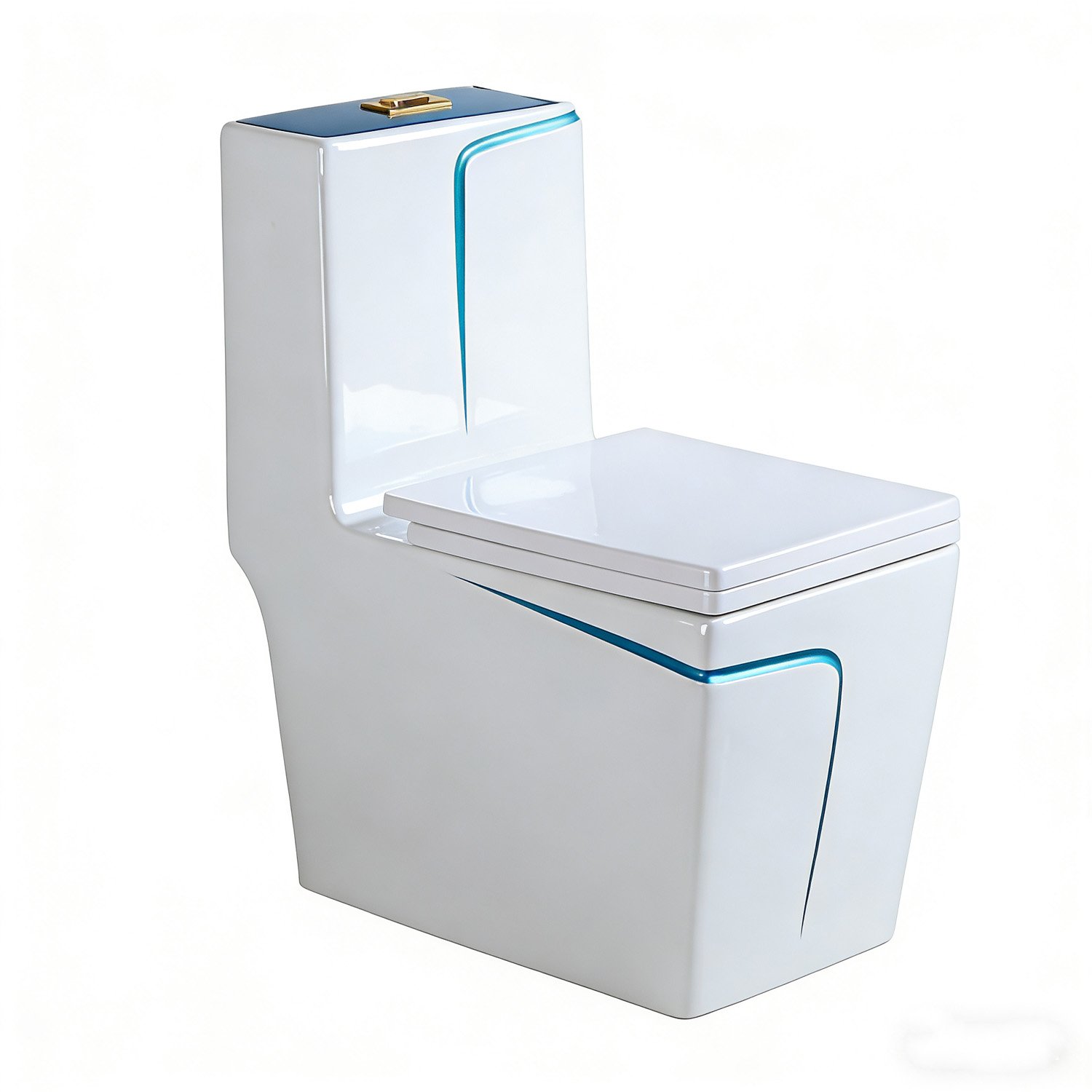 9221bl One Piece Toilet (5)