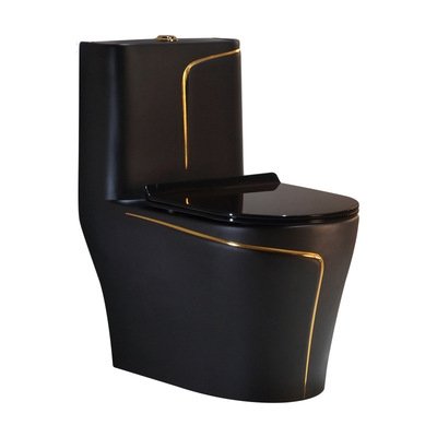 9222 Black One Piece Toilet (1)