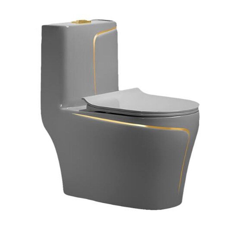 9222 Grey One Piece Toilet (1)