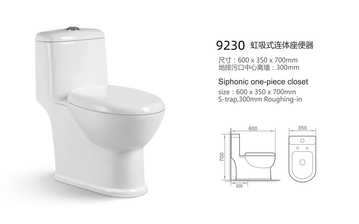 9230 One Piece Toilet (3)