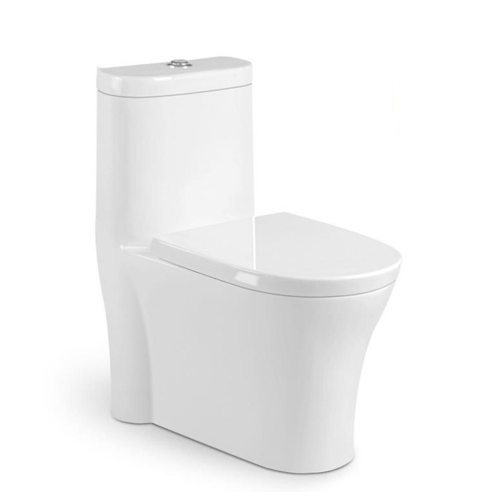 9232 One Piece Toilet (1)