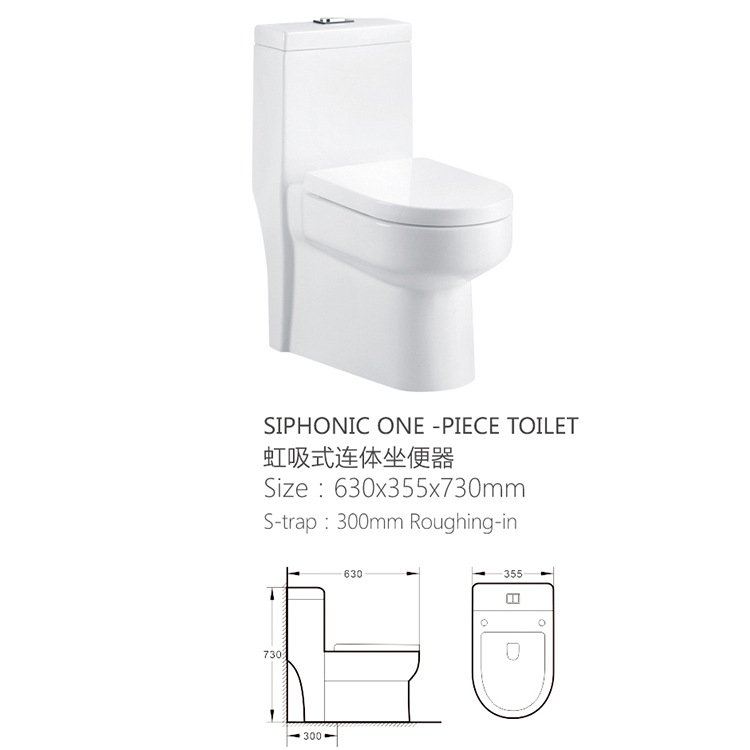 9234 One Piece Toilet (6)