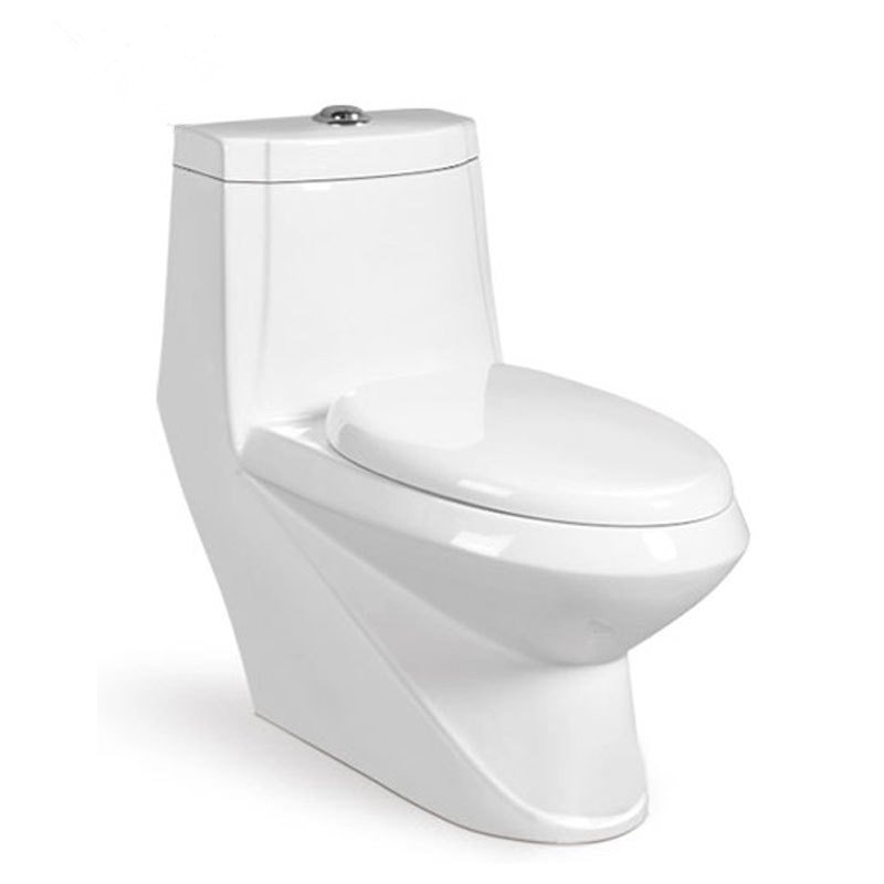 9238 One Piece Toilet (1)