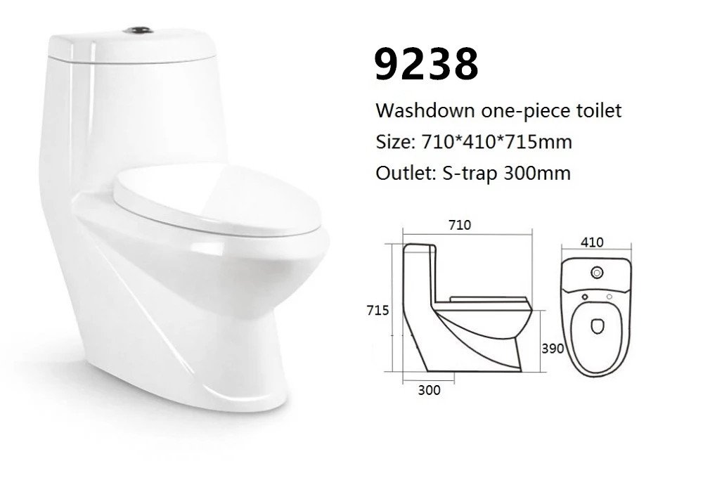 9238 One Piece Toilet (4)