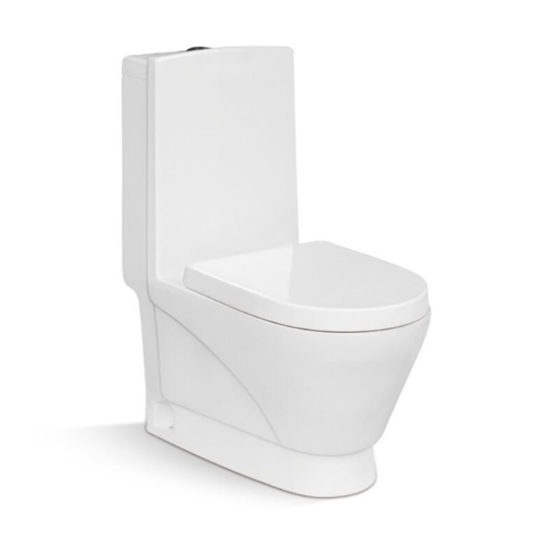 9239 One Piece Toilet (1)