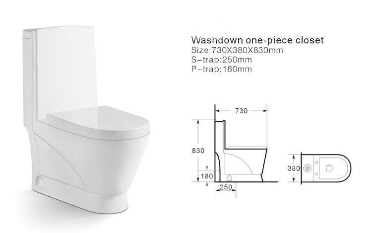 9239 One Piece Toilet (7)