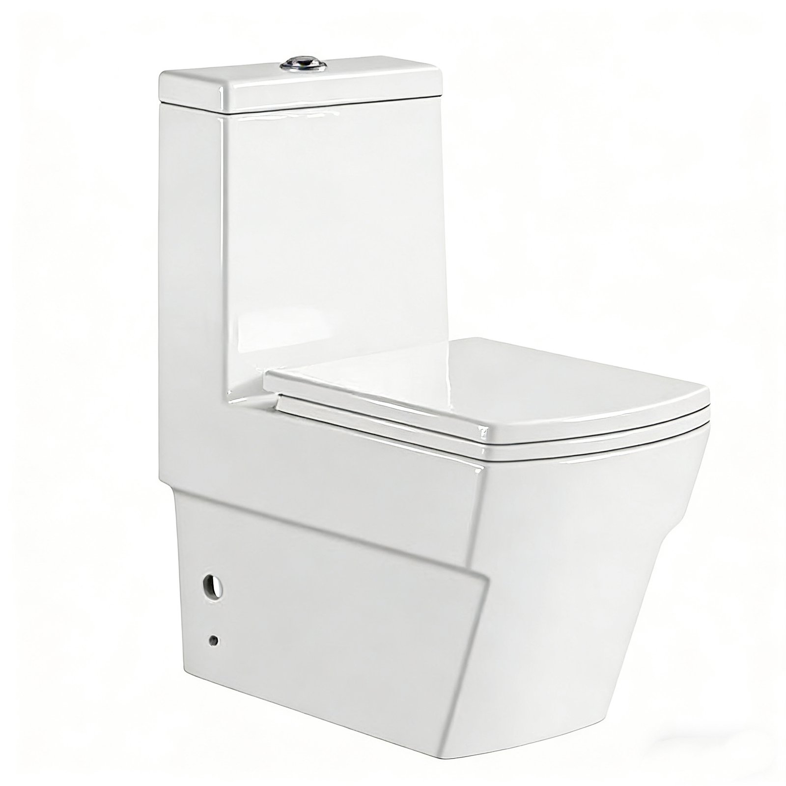 9243 One Piece Toilet (1)