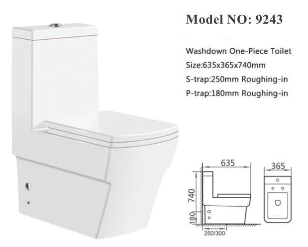 9243 One Piece Toilet (5)