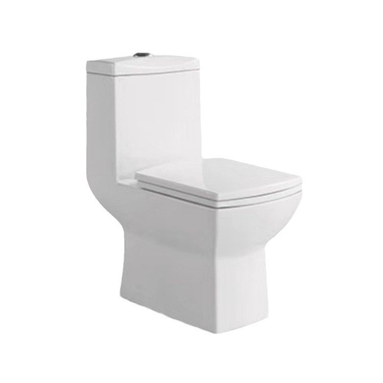 9245 One Piece Toilet (1)