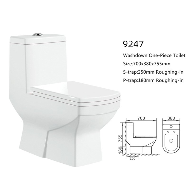 9247 One Piece Toilet (6)