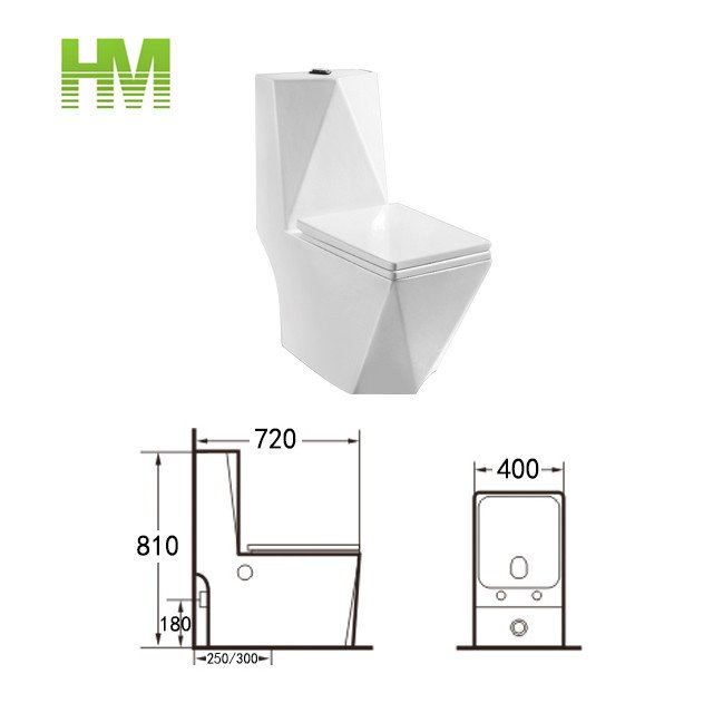 9252 One Piece Toilet (7)