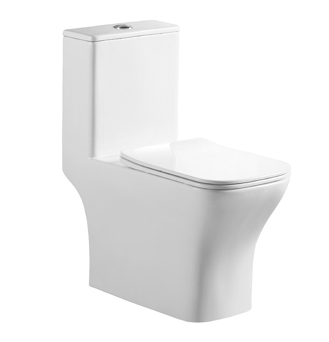 9260 Rimless Toilet (1)