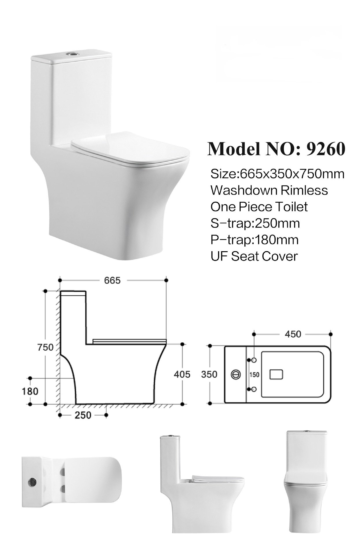 9260 Rimless Toilet (4)