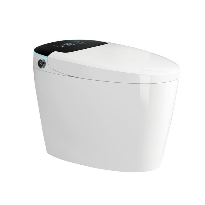 951 Smart Toilet
