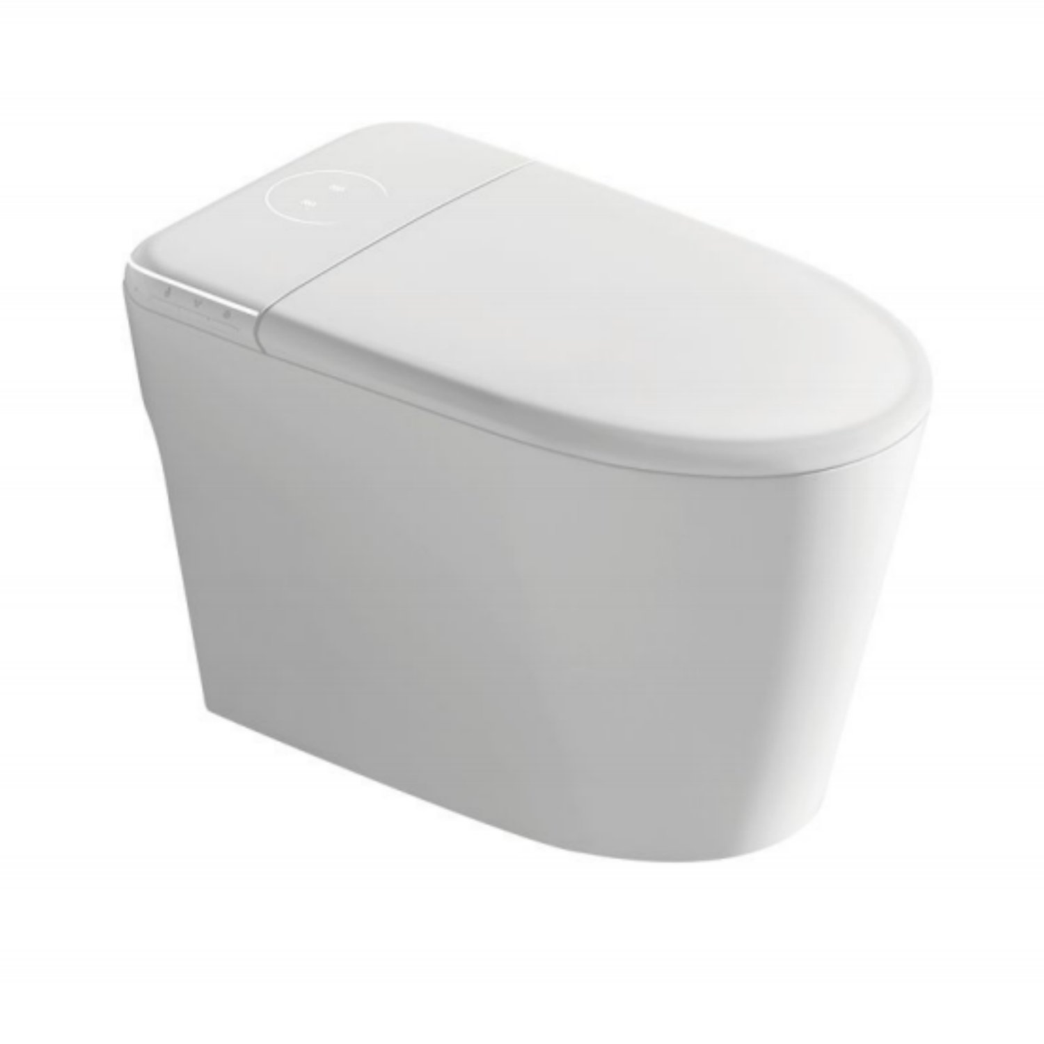 967 Intelligent Toilet