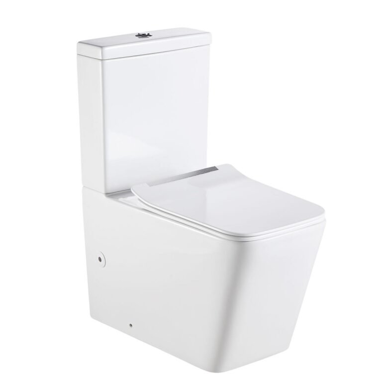 Europe Deisgn Two Pieces Toilet Square 2