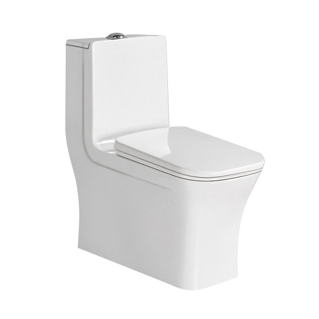 H015 One Piece Toilet (1)