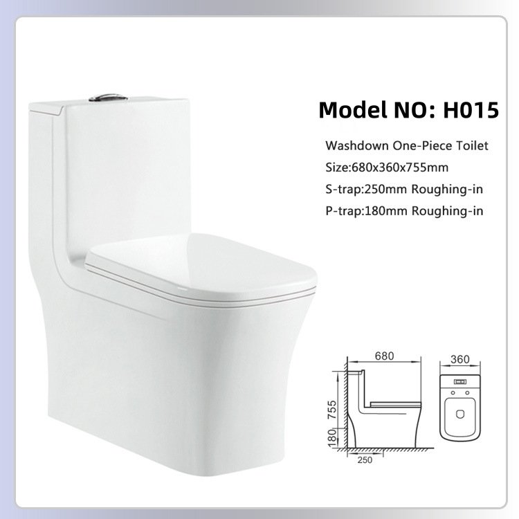 H015 One Piece Toilet (4)