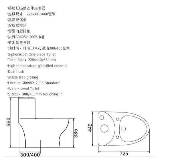 Siphonic One Piece Toilet 8521 (3)