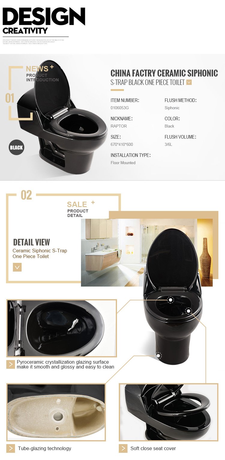 Siphonic One Piece Toilet 9001b (8)