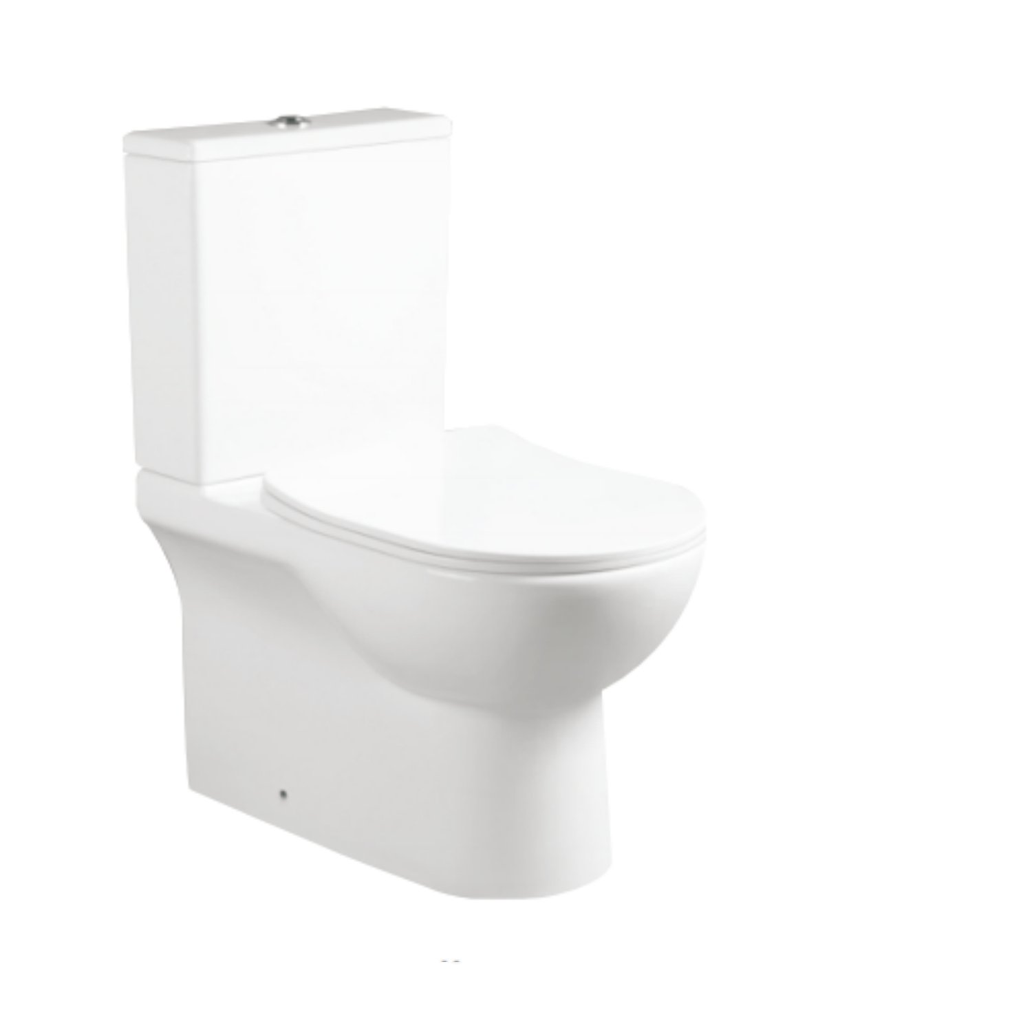 T49 Ceramic Toilet