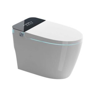 Smart Toilet