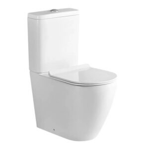Two Pieces Toilet