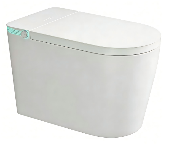 Smart Toilet